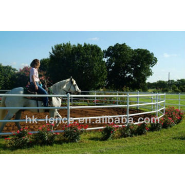 Plumas de entrenamiento de caballo galvanizado